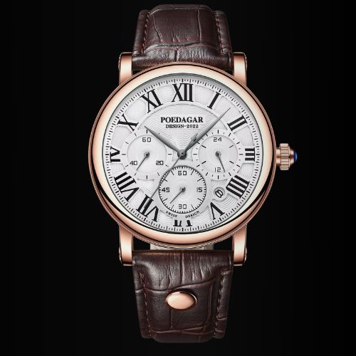The Hudson Legacy - Poedagar Classic Roman Numeral